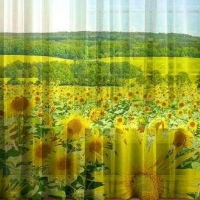 Фототюль Весенний луг
